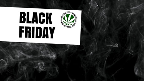 black friday cbd